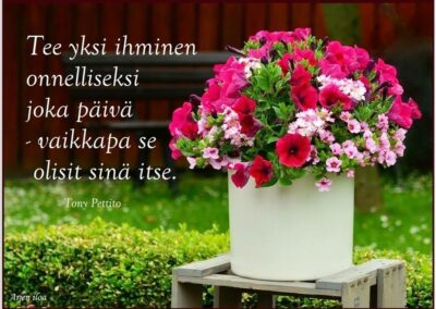 Hautakivi ja kukka, perunkirjoitukset